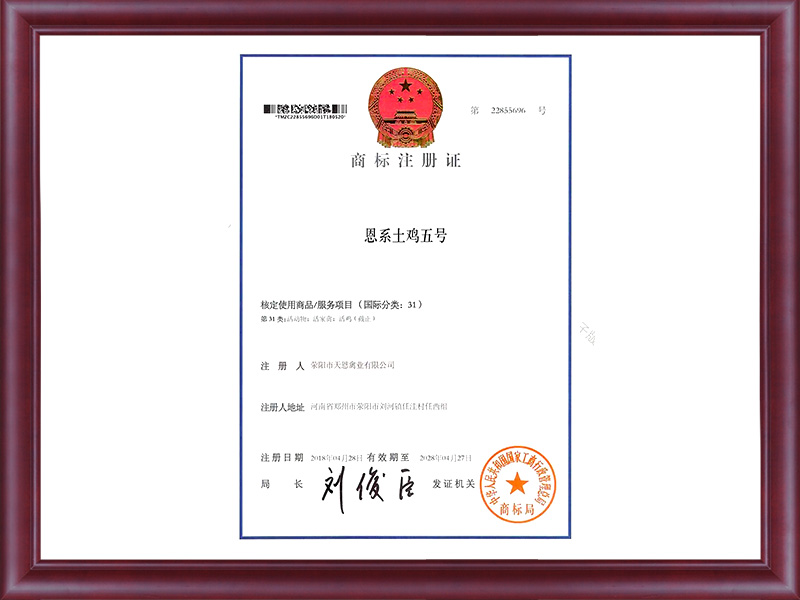商标注册证